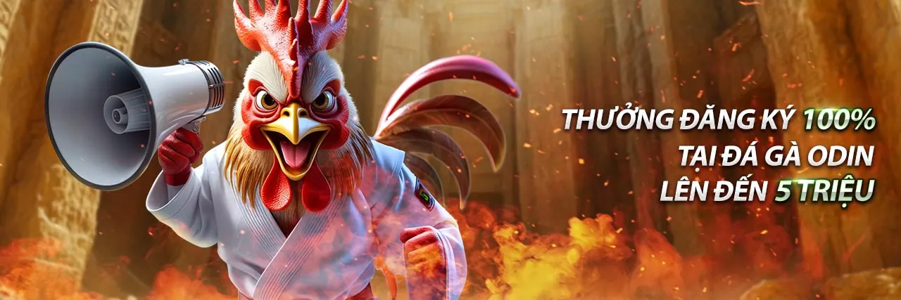 Hoàn trả casino và thể thao hàng tuần